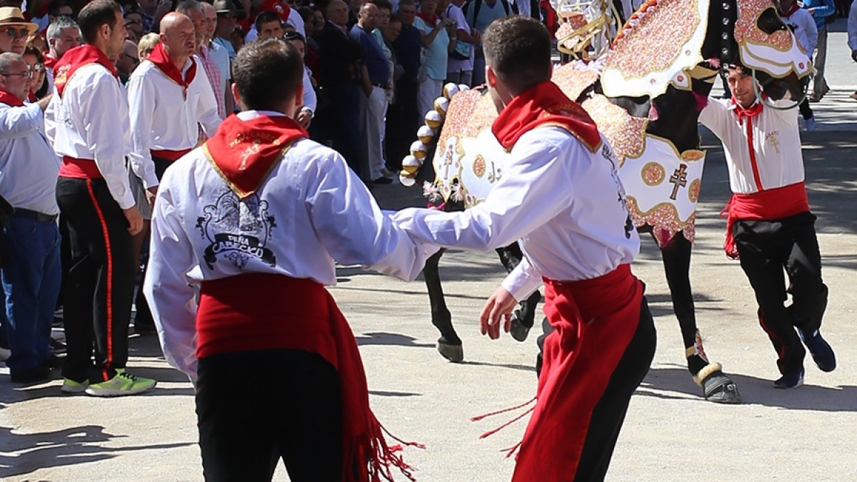 IMG_7328.jpg