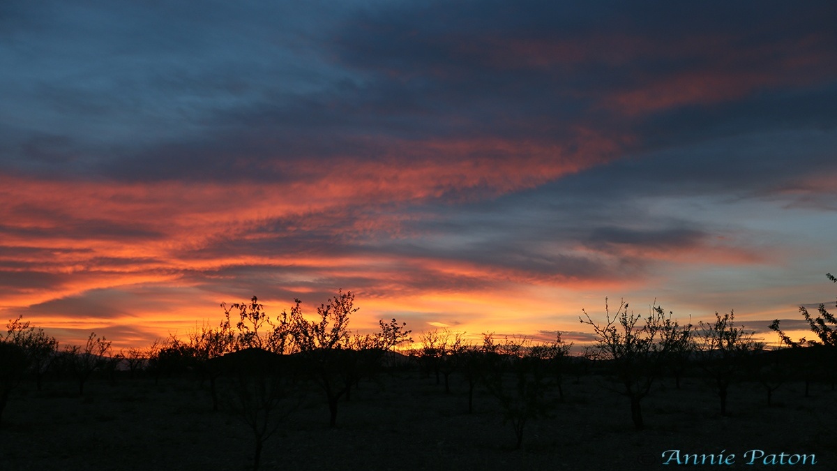 losguillenes-sunsets3.jpg