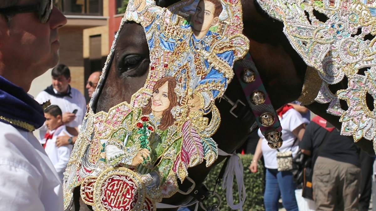 horse.jpg