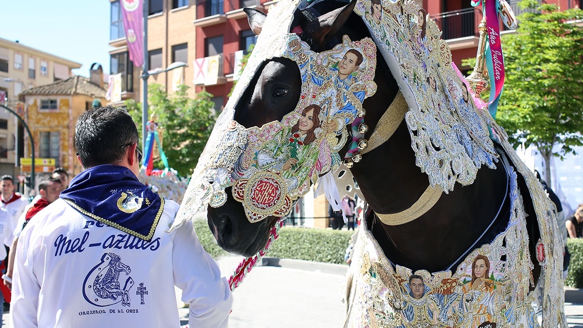 horse1.jpg