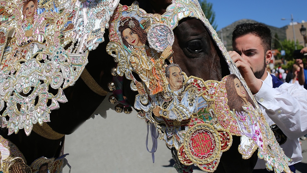 horse4.jpg