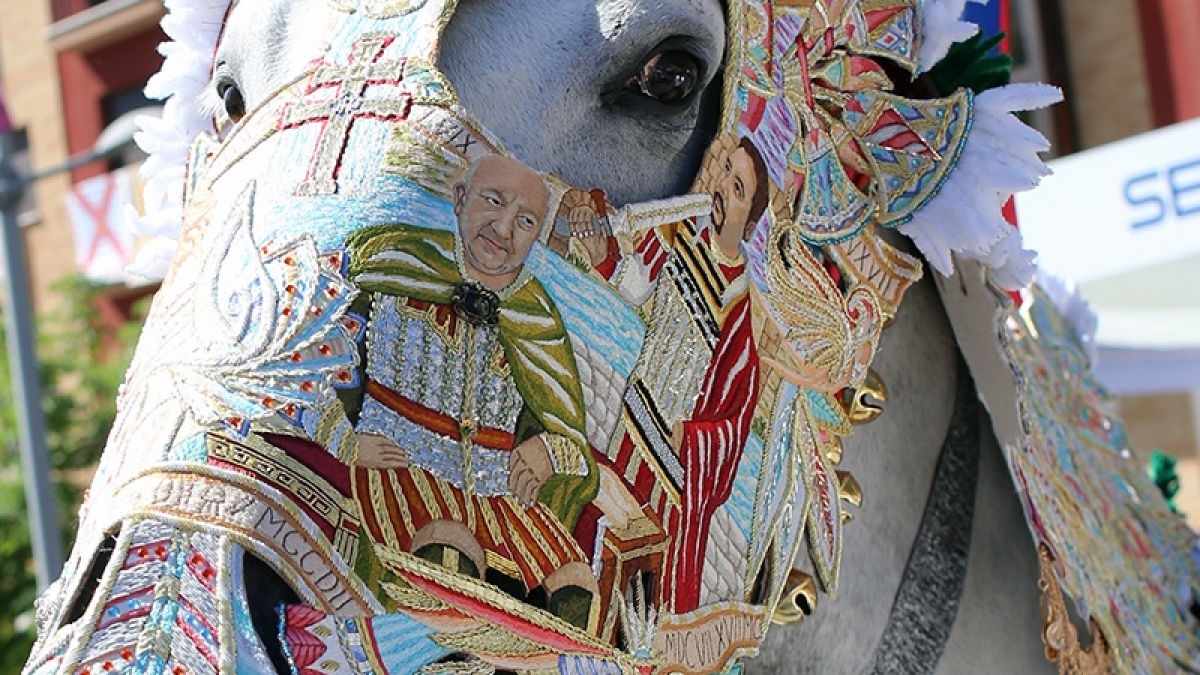 horse5.jpg