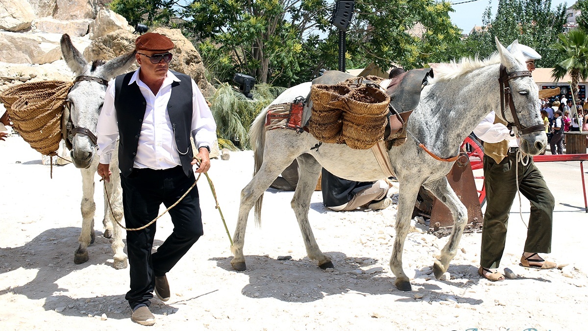 donkeys2.jpg